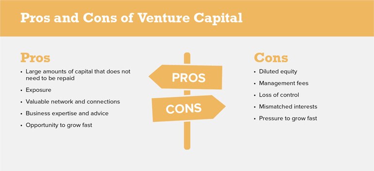pros and cons of venture capital