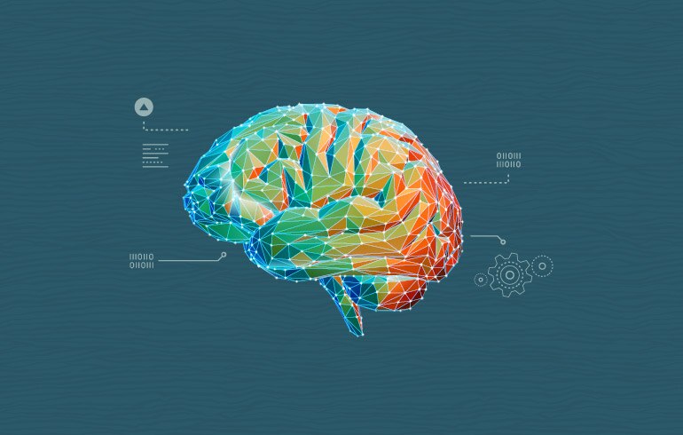 Brain