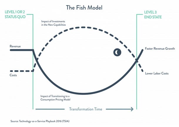fish model pricing