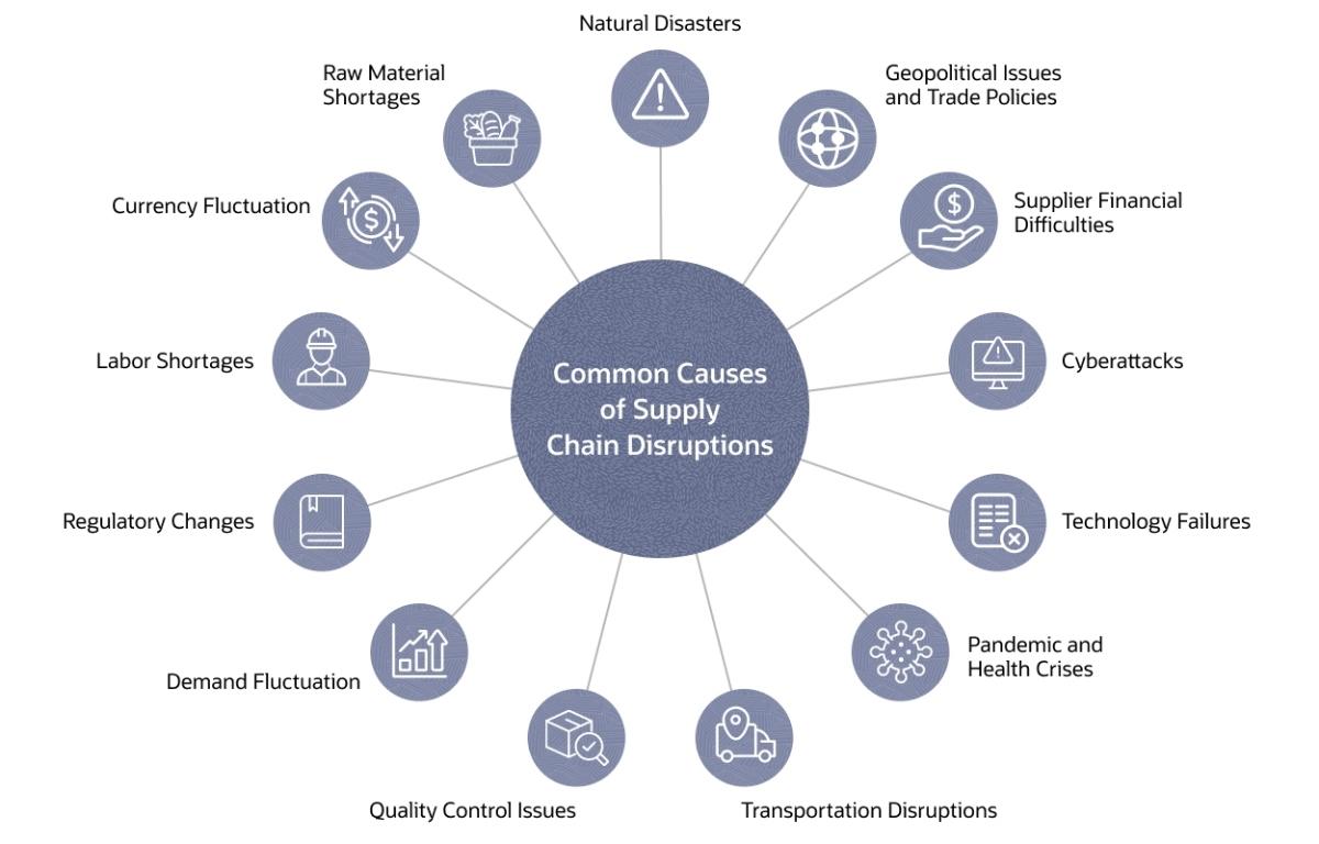 erp-supply-chain-disruptions-brief-february