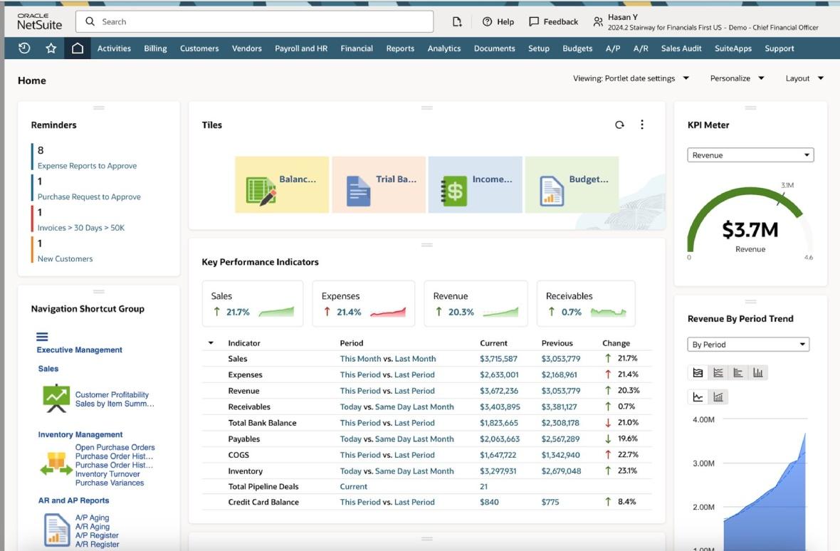 infographic gain visibility with netSuite
