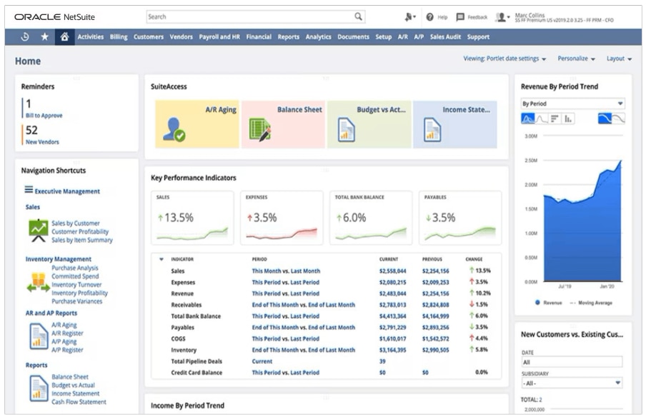 Netsuites Erp Dashboard