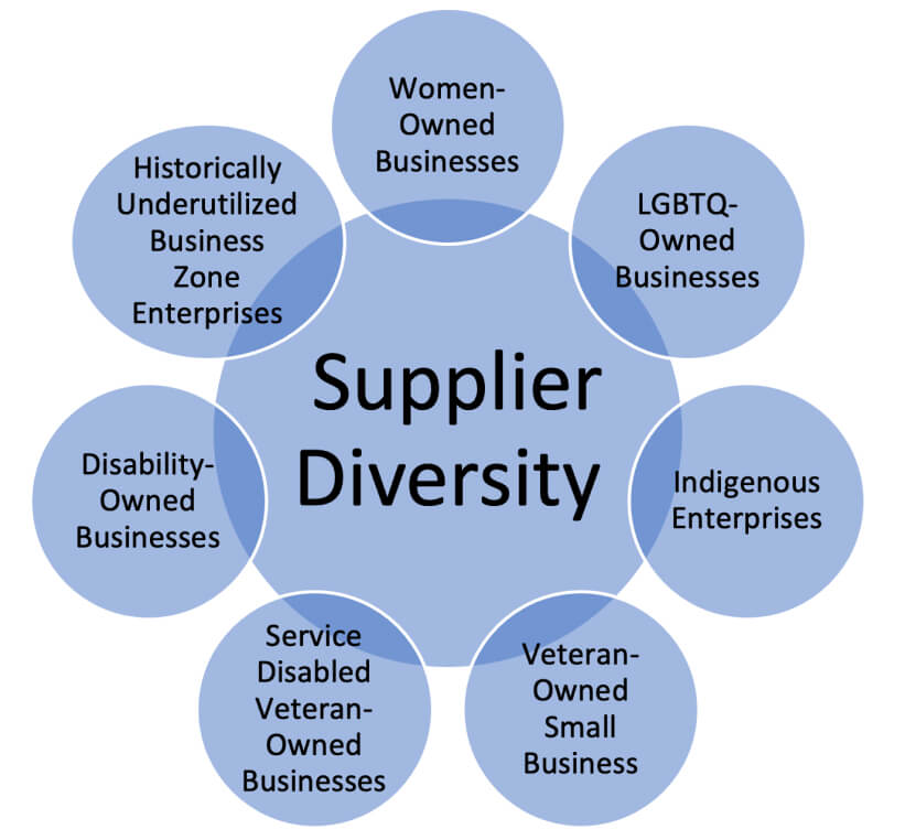 infographic supplier diversity types