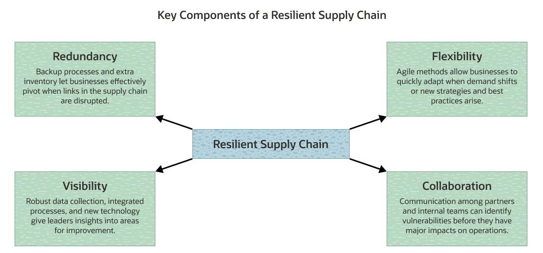 supply chain resilience infographic