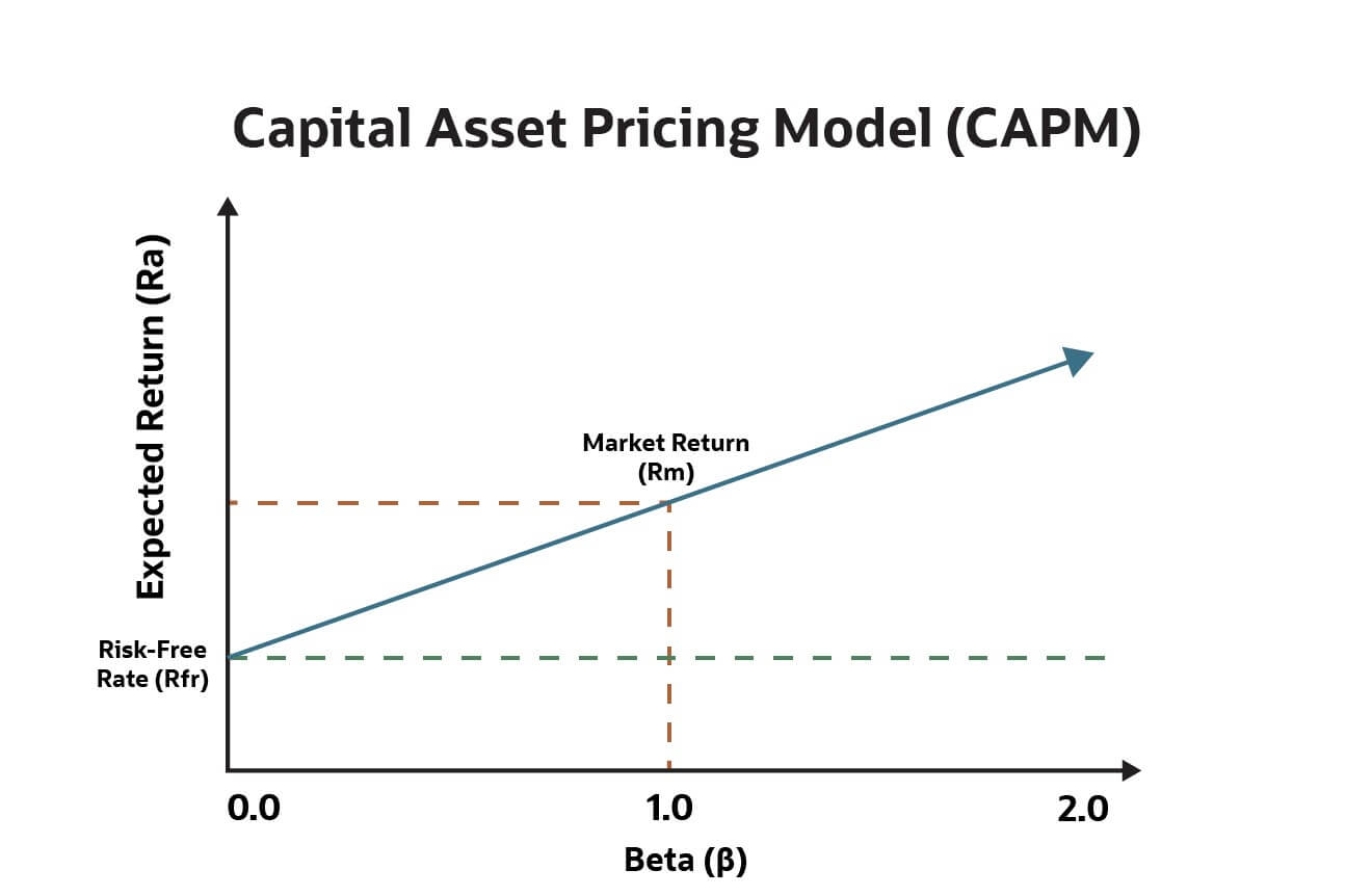 infographic capital asset pricing model