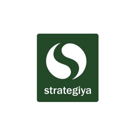 Strategiya logo