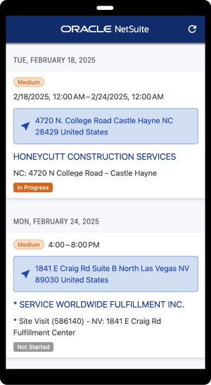 NetSuite Mobile App