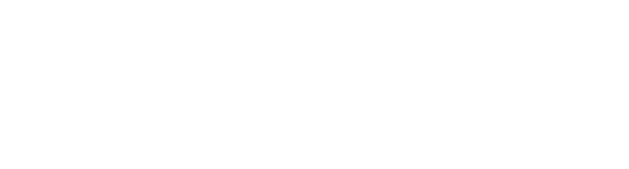 Bailey Nelson Logo
