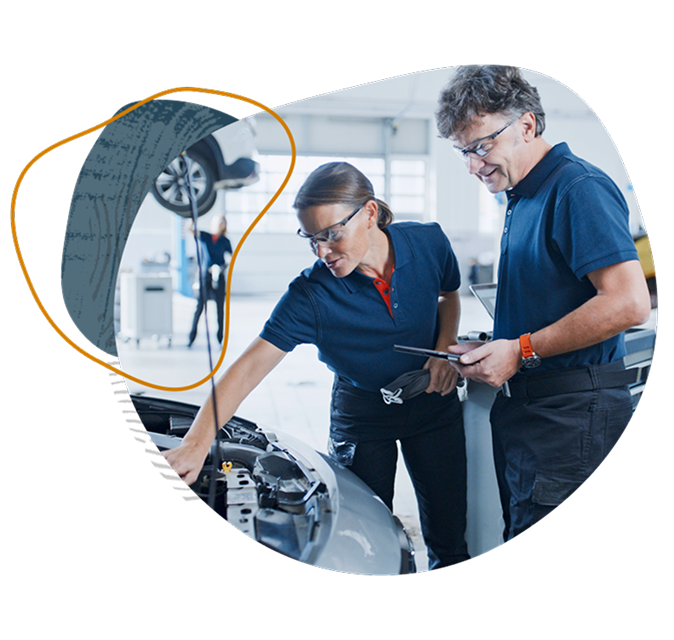 Automate Auto Parts Business Thumbnail