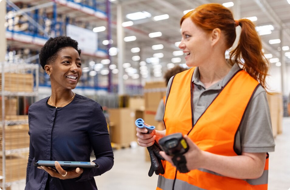 NetSuite Logistics ERP Thumbnail