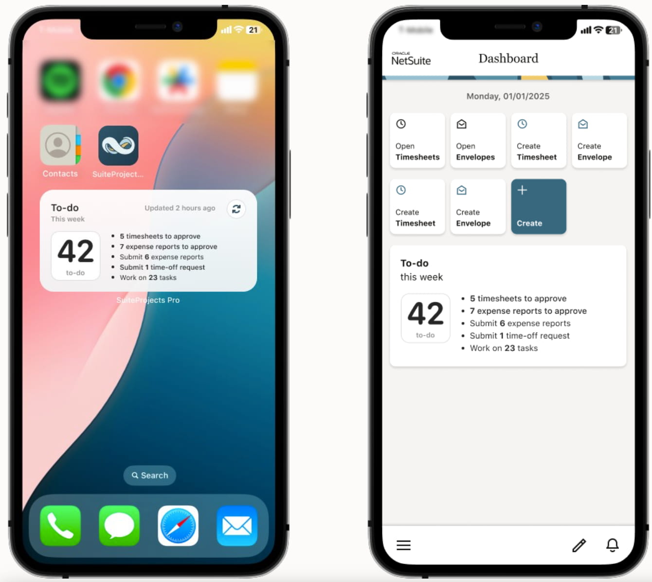 suiteprojects pro 2025-1 release 3