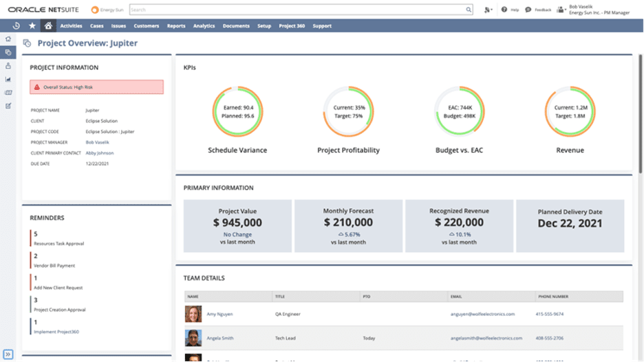 NetSuiteProject360 Dashboard.